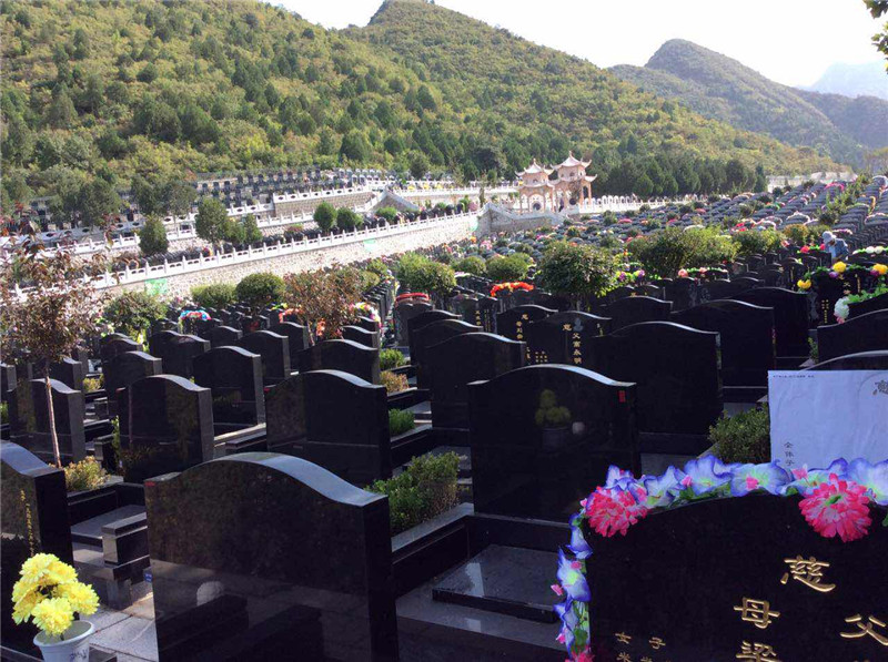 德陵公墓墓区实景