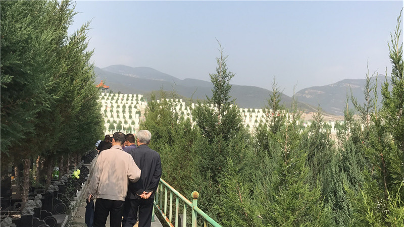 炎黄陵园墓区
