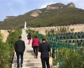 到桃峰陵园挑选福地