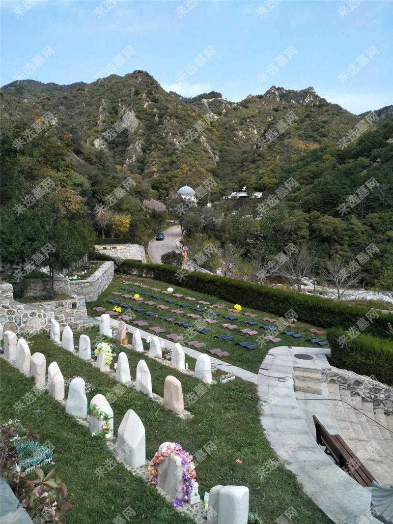 九公山长城纪念林福泽园墓型