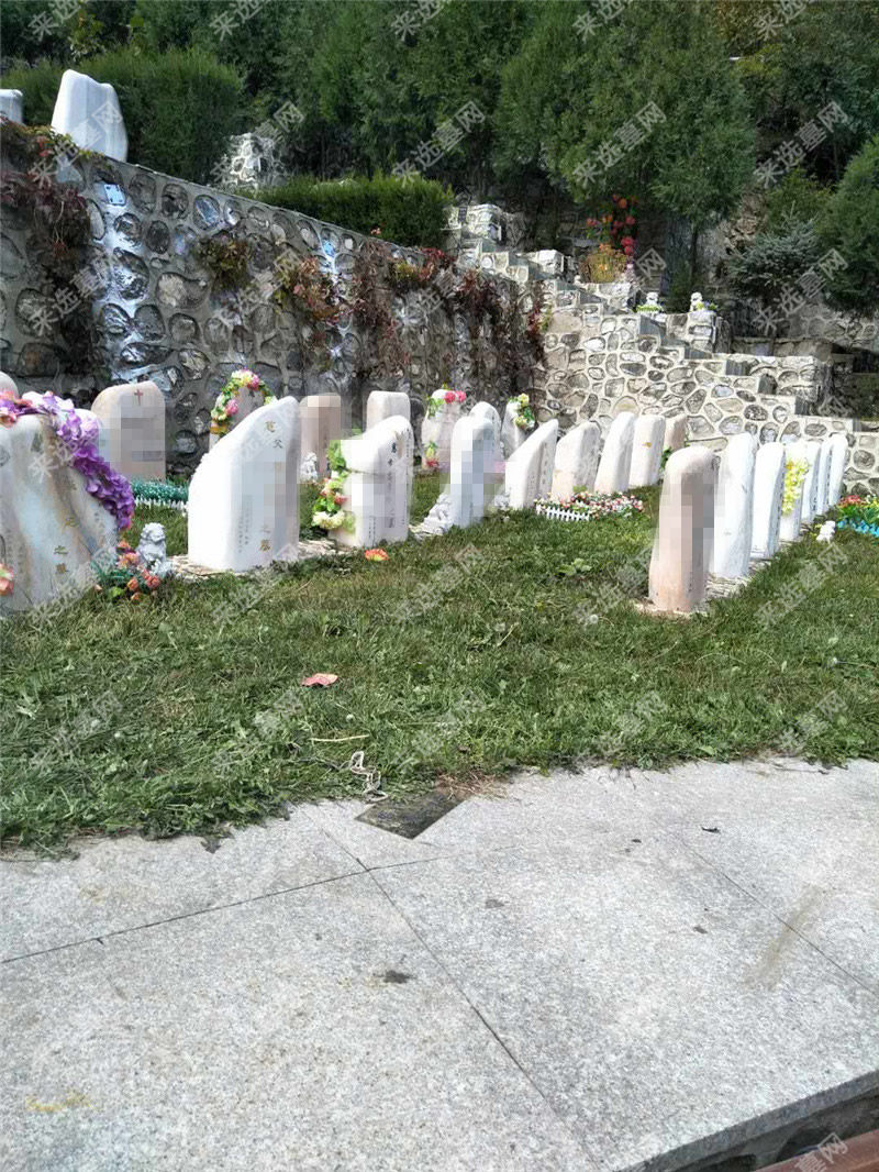 九公山长城纪念林福泽园墓型