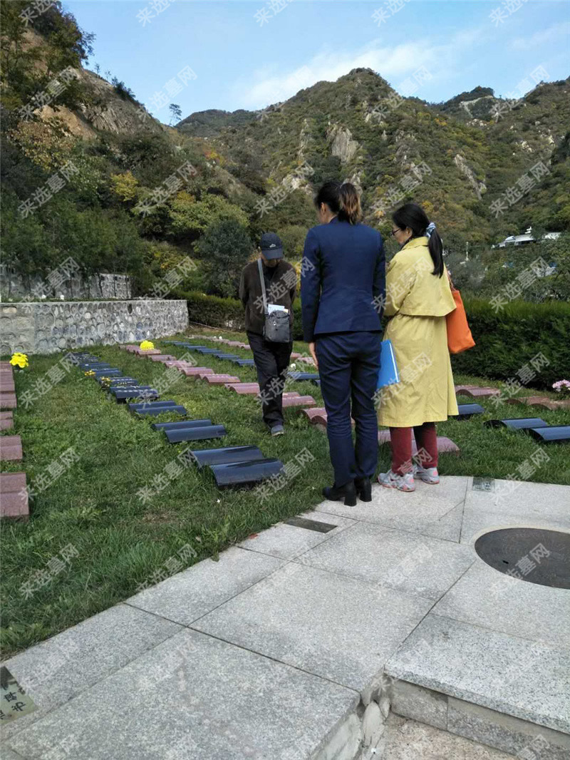 九公山长城纪念林福泽园书卷碑