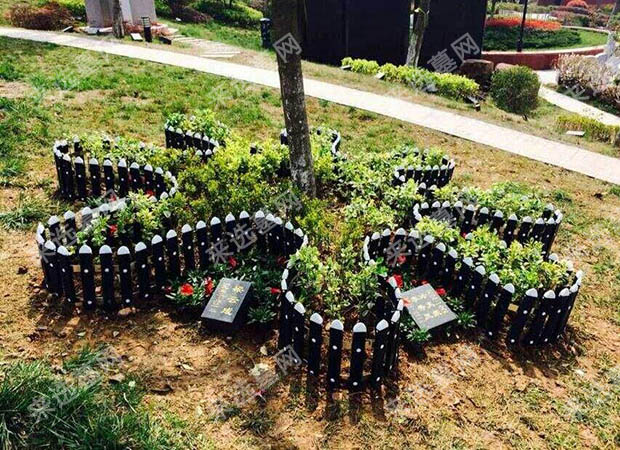 树葬墓地照片