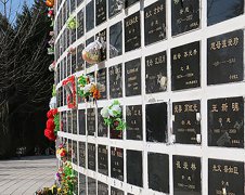 北京长青园骨灰林墓地碑型介绍