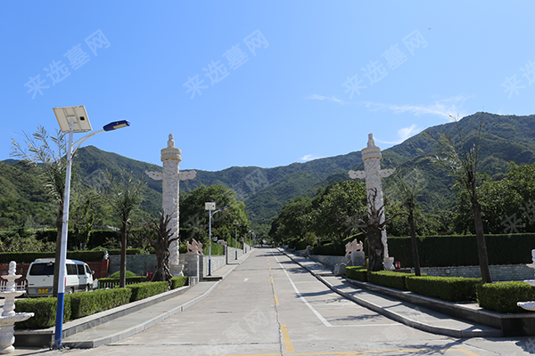 天山陵园主干路