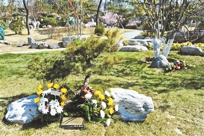 北京生态节地葬实景效果