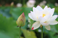 来选墓网提醒您：夏天到了，请注意防暑降温