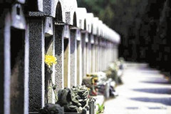 全国多省市开展殡葬领域改革和殡葬乱象专项整治会议