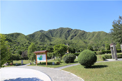 通往凤凰山陵园道路南羊路封路通知