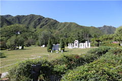 在凤凰山陵园为去世的舅舅选墓地