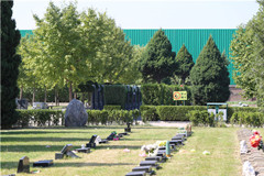 长青园陵园,草坪自然葬多少钱