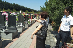 为先生在惠灵山陵园选适合他的墓地