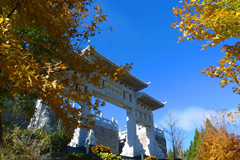 前往清东陵万佛园皇家陵园买墓地