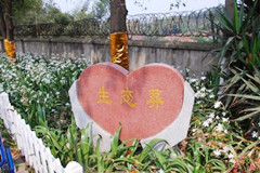 墓地价格已经涨到几十万了，你能接受换种安葬方式吗？