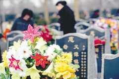 德陵盘龙台公墓盗卖祭祀鲜花人员已找到并教育