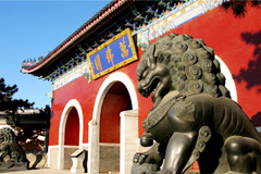 家里长辈说清东陵万佛园的墓地很不错,我去给奶奶选一块