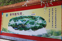 和母亲去十三陵附近的景仰园骨灰林给父亲选墓