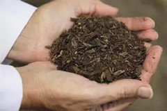 美国华盛顿州新殡葬法致力环保