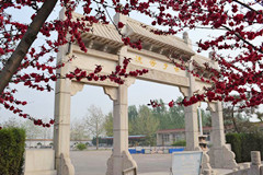 高静园公墓地址和路线