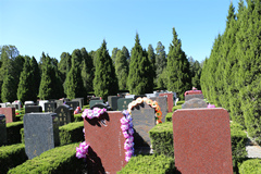 福田公墓价格表