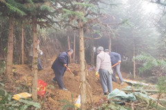 富宁板仑乡首例违规土葬行为,被依法处置