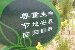 新型殡葬：摒弃沉疴陋习,整治“活人墓、大墓”,提倡绿色殡葬
