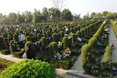 农村传统土葬习俗该不该延续