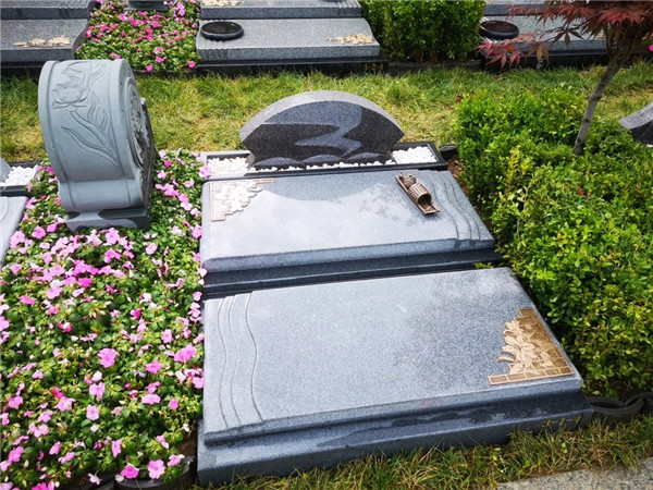 一帆风顺