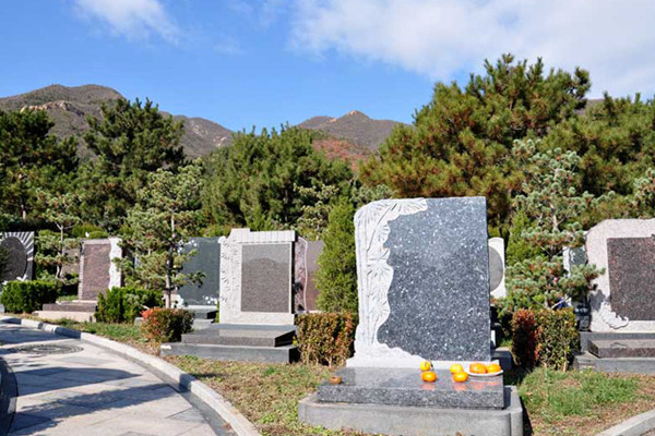 天寿陵园墓区