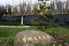 生态殡葬改革亦要兼顾公平