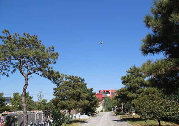 北京朝阳墓地有哪些