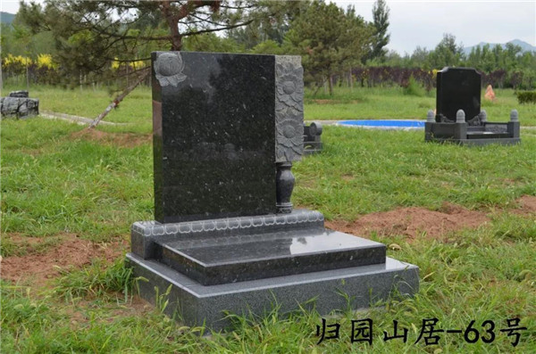 归园山居63号