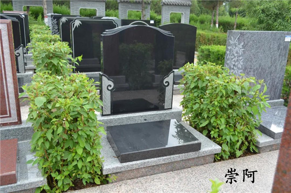 崇阿