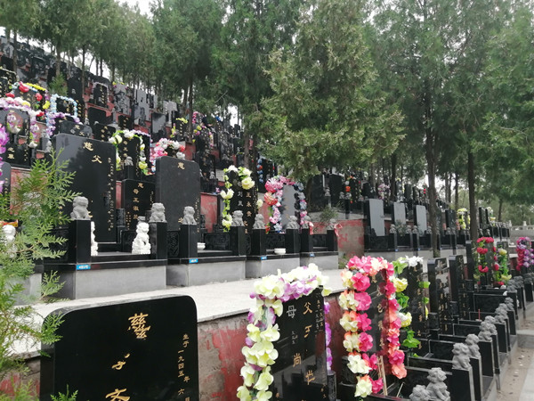 九里山二区公墓墓区