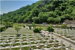 北京市除了买墓地还有什么骨灰安葬方式