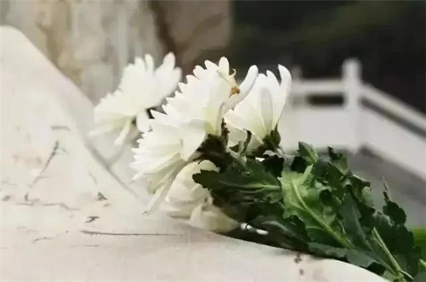 祭扫鲜花