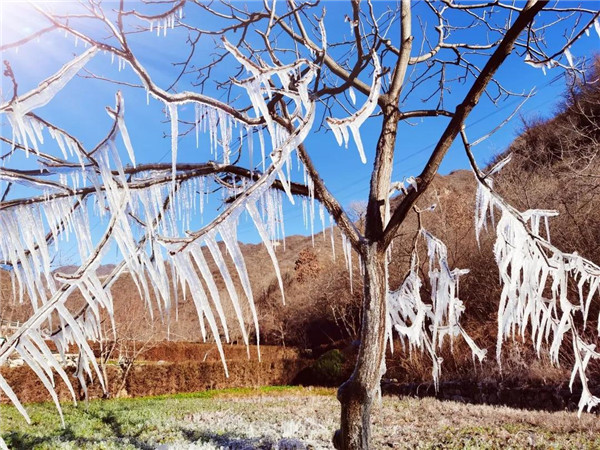 雪后景观
