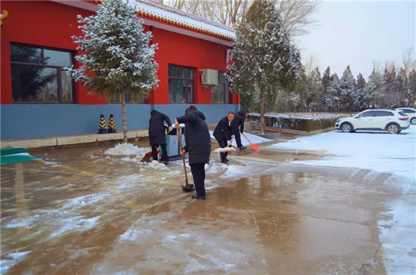 陵园工作人员铲雪