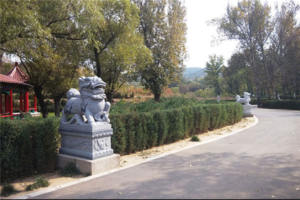道路