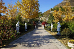 北京桃峰陵园寒衣过暖冬,温情永相伴
