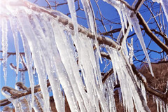 九公山长城纪念林小雪 飞雪如花落,推拿助抗寒