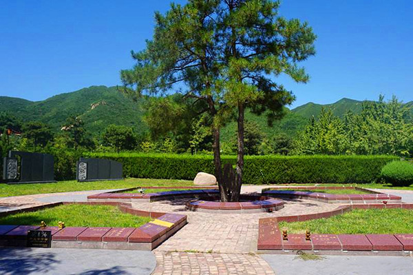 天寿陵园花坛葬
