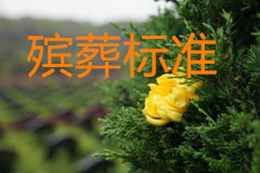 京津冀联合发布首部殡葬领域区域协同地方标准