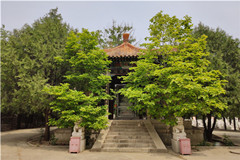 在秦城元宝山下华夏陵园公墓带老太太买块墓地