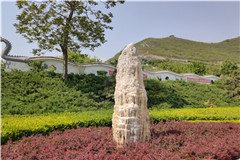 感悟生命的圣地桃峰陵园为去世三年的亲人选墓地
