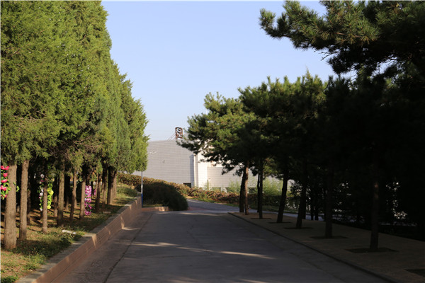 陵园道路