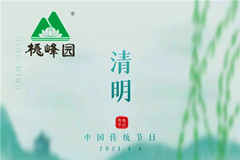 北京桃峰陵园清明追思,代客祭扫