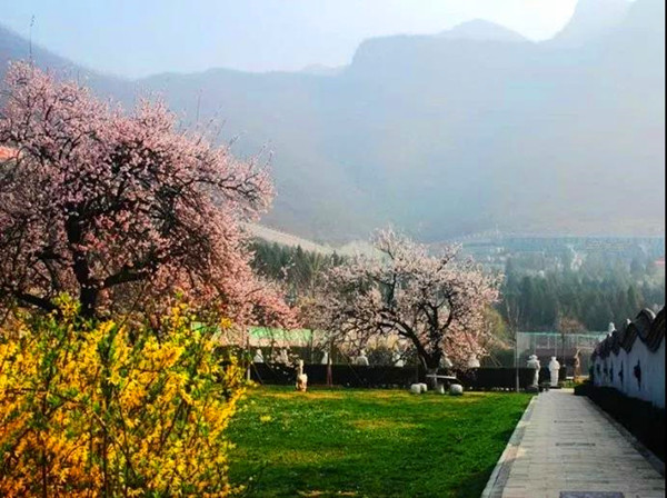 桃峰陵园景观