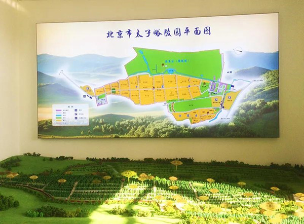 丰台金山陵园平面图 丰台金山陵园平面图