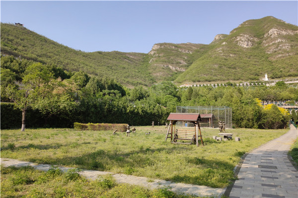 桃峰陵园景观
